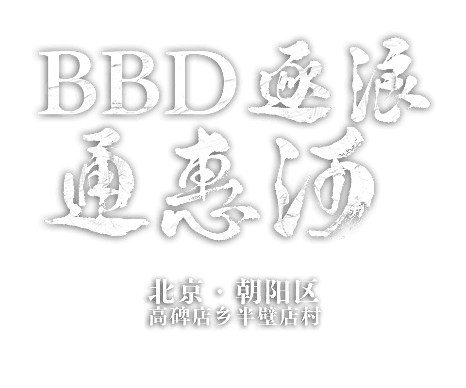 北京市朝阳区高碑店乡半壁店村 BBD逐浪通惠河