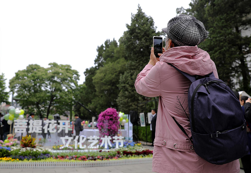 在通惠河畔产业园区举办的“BBD首届菩提花开文化艺术节”引来各界朋友拍照打卡