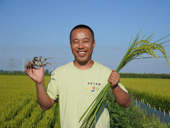 2023年8月，农场主齐丰展示水稻和螃蟹。