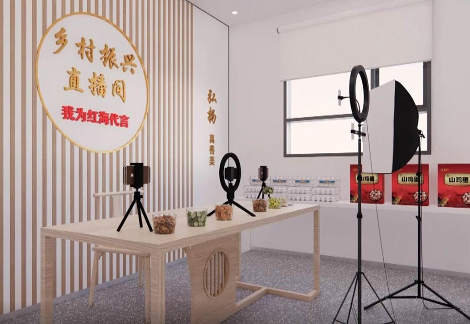 村中的电商直播间