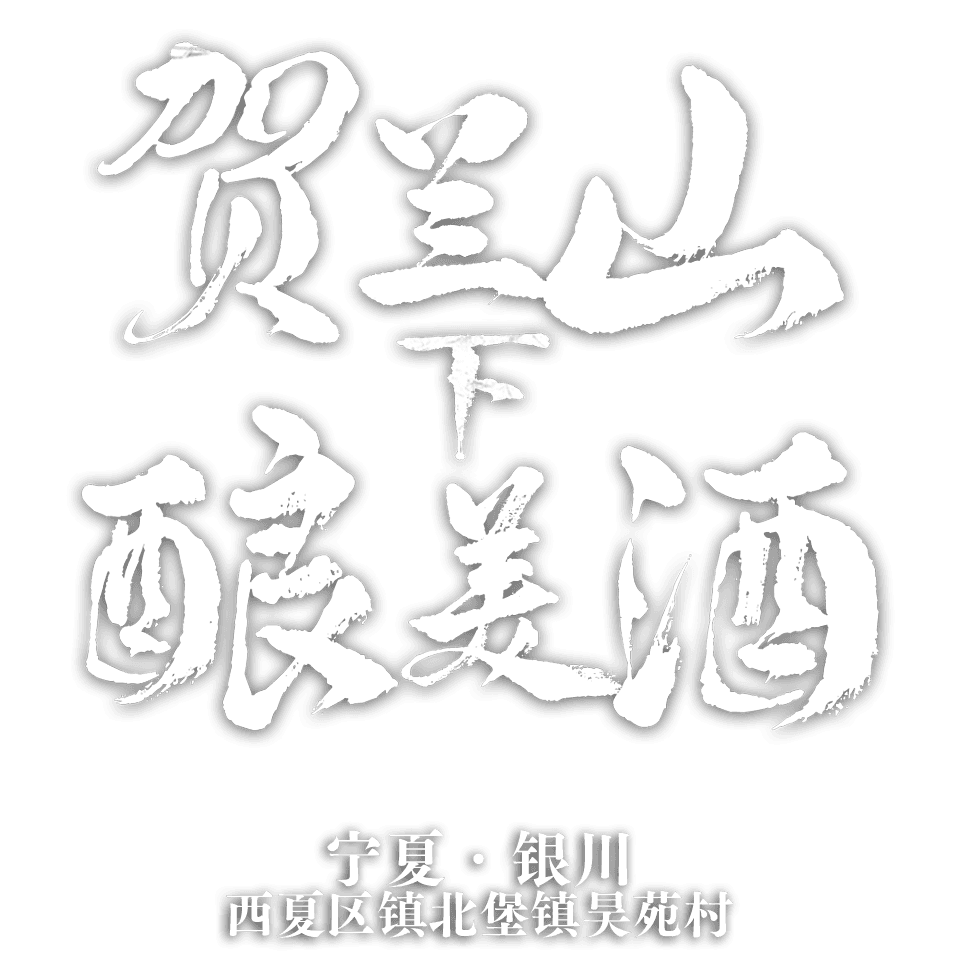 宁夏银川市西夏区镇北堡镇昊苑村 砂石地的“紫”梦想