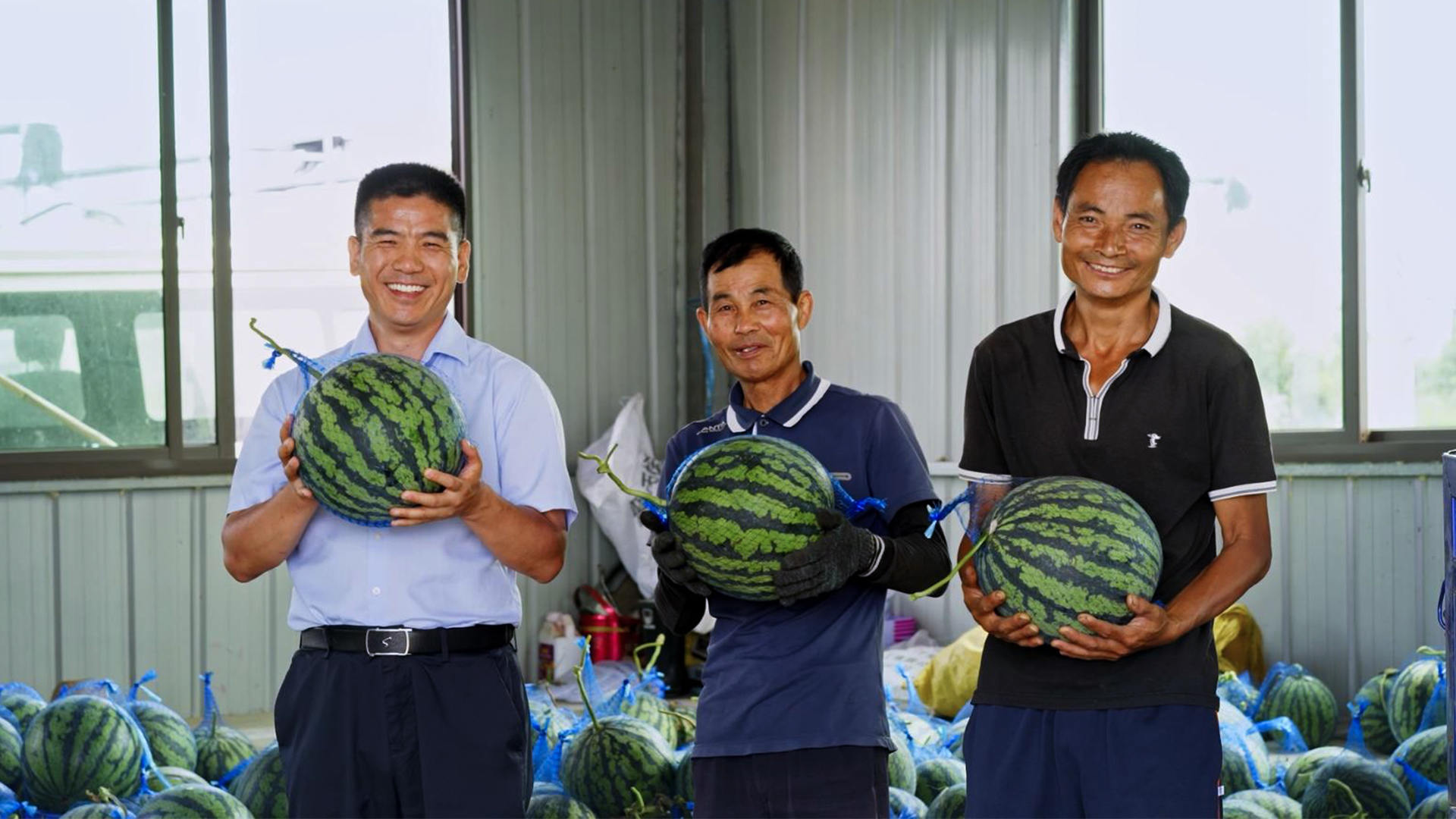 “空中吊瓜”是河林村的特色产业