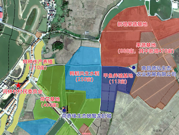 河林村产业平面图
