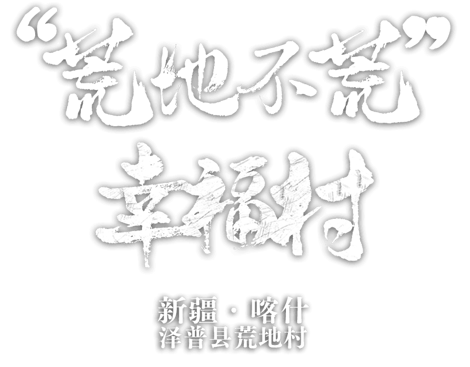 新疆维吾尔自治区喀什地区泽普县赛力乡荒地村 “荒地不荒”幸福村