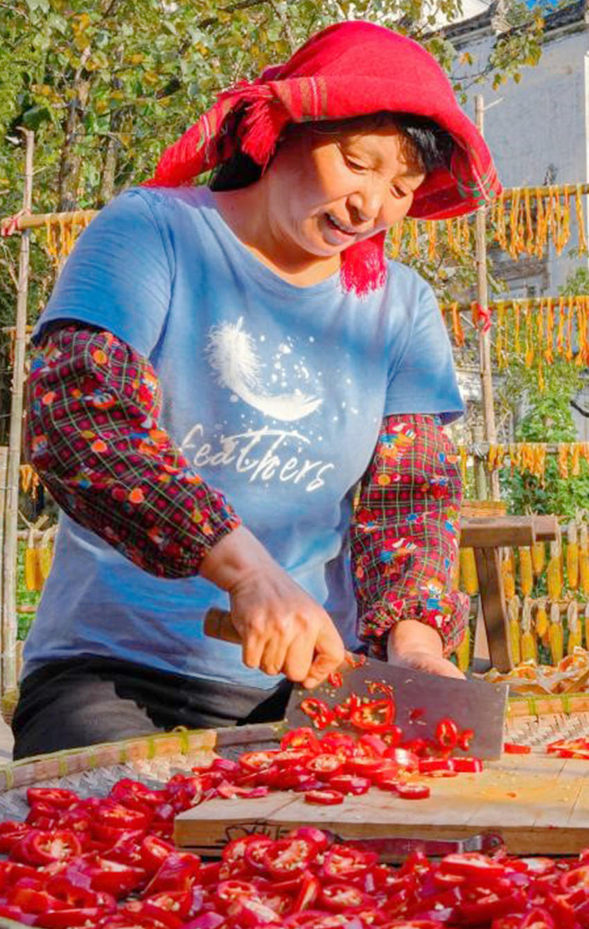 丰收时节村民家中的晒匾