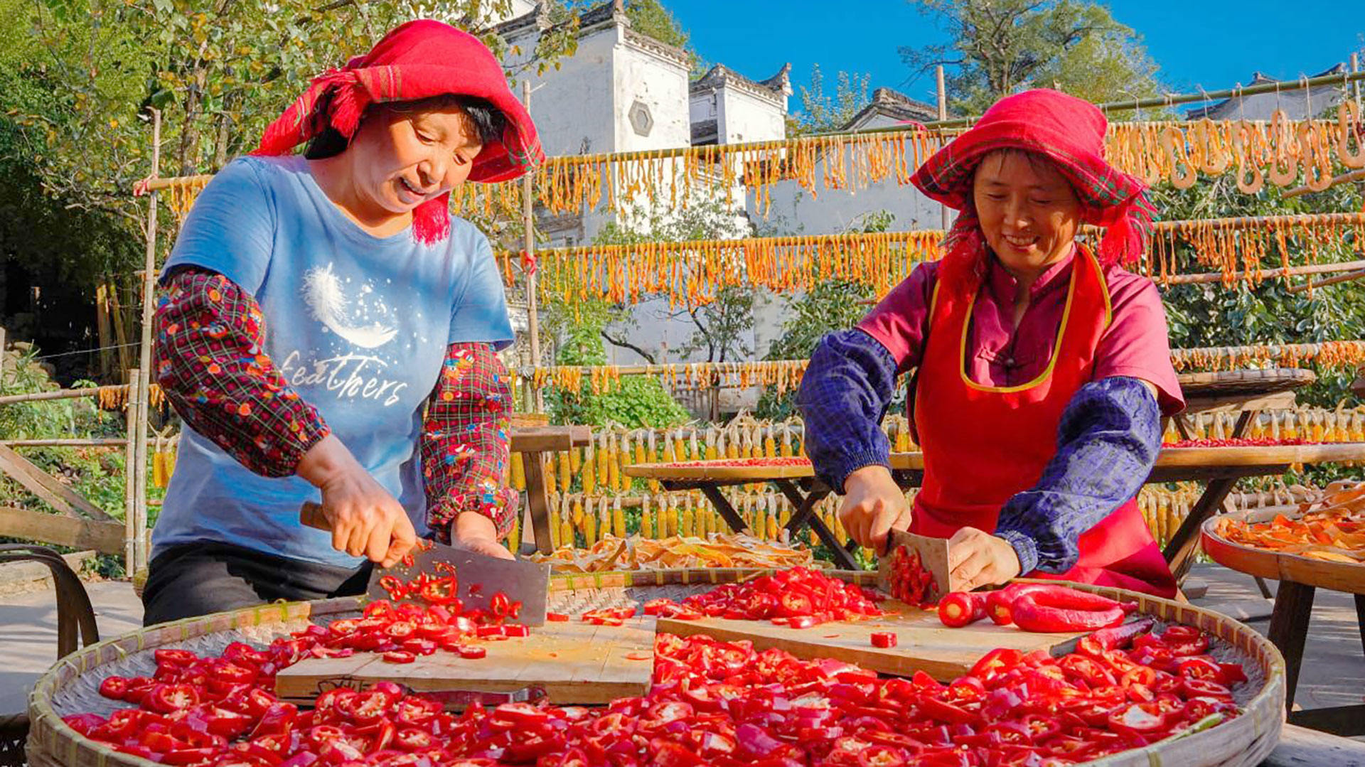 中国这十年|百村安居图:有种风景叫“晒秋”