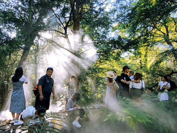 篁岭村里的水口雨林
