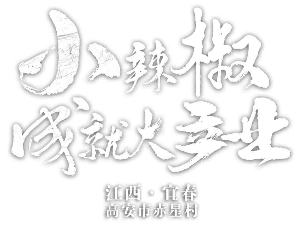 江西省宜春市高安市上湖乡赤星村 小辣椒成就大产业
