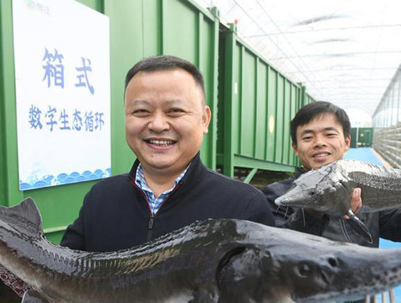 2023年3月，刘老桥村民正在有机良庄受控式集装箱养鱼劳作