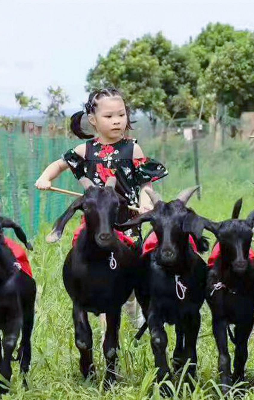 亲子活动—赶羊比赛