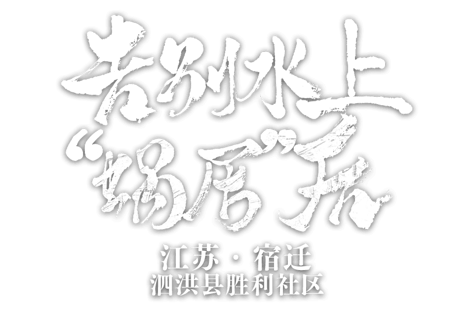 江苏省宿迁市泗洪县胜利社区 告别水上“蜗居”后