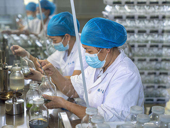 2022年5月22日，在施茶村胜嵘石斛园，工作人员在无菌操作室将小石斛苗转接到培养基上，进行生根壮苗培养