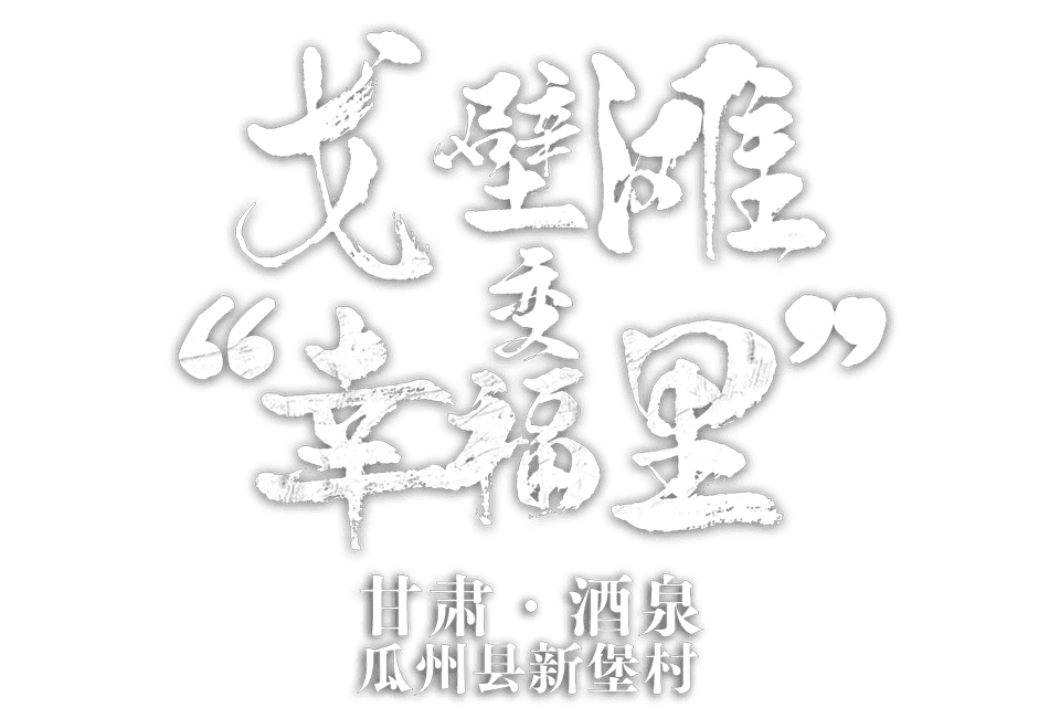 甘肃省酒泉市瓜州县广至藏族乡新堡村 戈壁滩变“幸福里”
