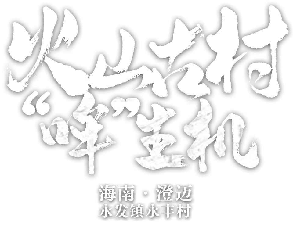 海南省澄迈县永发镇永丰村 火山古村焕新生